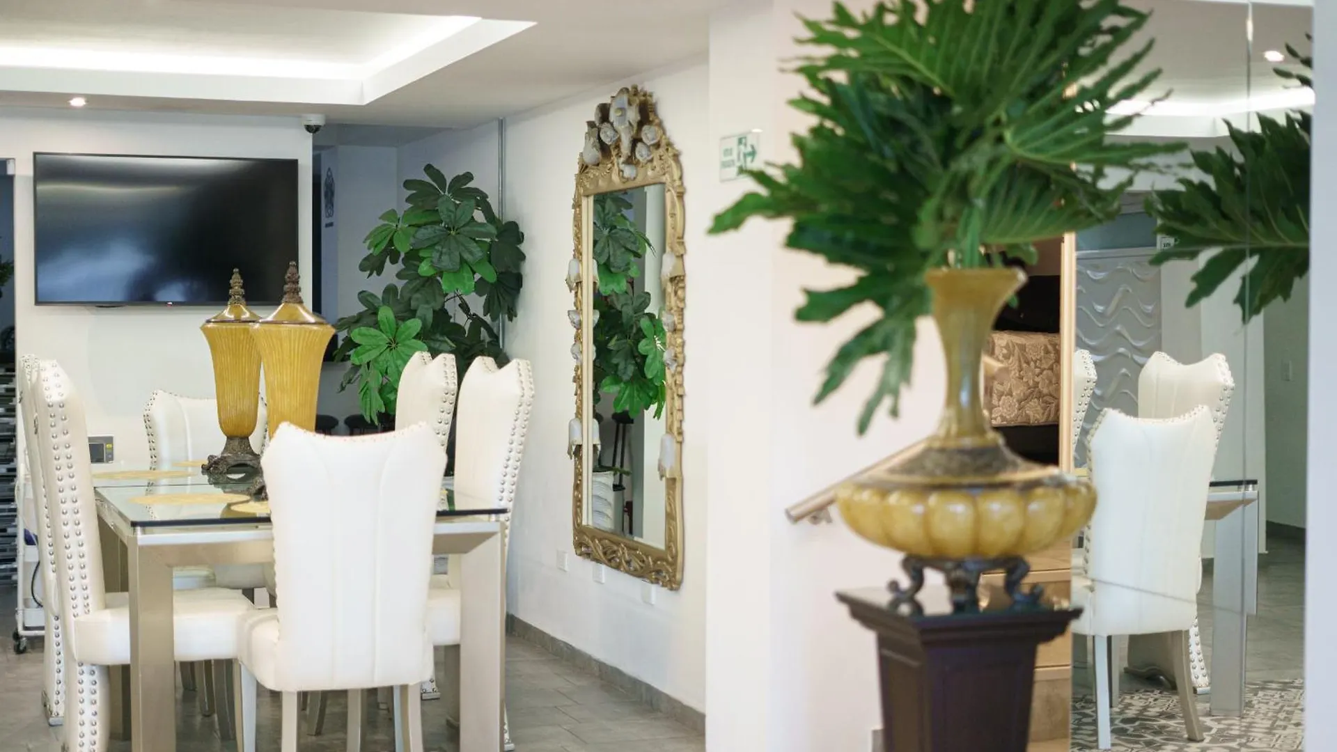 Recovery House By Zenya Host Cali Hotel
